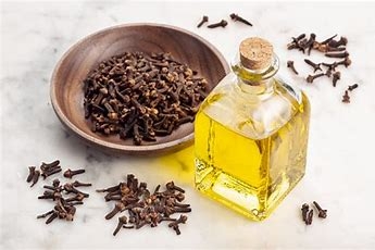 Kryddernellik/Clove naturlig eterisk olje.